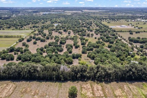 Land in Vero Beach, Florida № 1207918 - photo 14