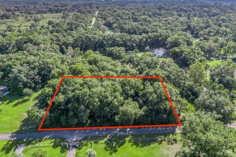 Terreno en venta en Ocala, Florida № 1406433 - foto 1