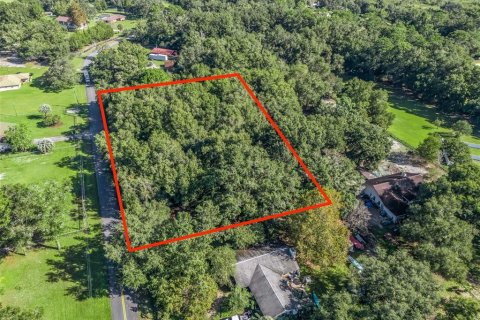 Terreno en venta en Ocala, Florida № 1406433 - foto 4