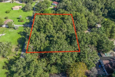 Terreno en venta en Ocala, Florida № 1406433 - foto 6