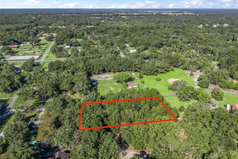 Terreno en venta en Ocala, Florida № 1406433 - foto 9