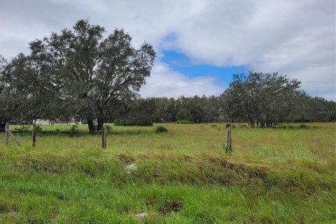Land in Wimauma, Florida № 248223 - photo 7