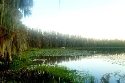 Land in Wimauma, Florida № 248223 - photo 3