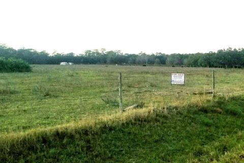 Купить земельный участок в Уимаума, Флорида № 248223 - фото 15
