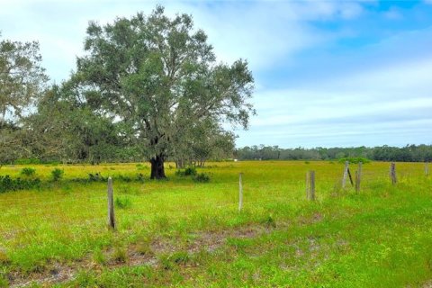Land in Wimauma, Florida № 248223 - photo 9