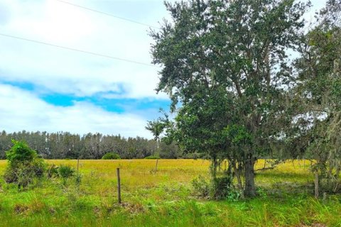 Land in Wimauma, Florida № 248223 - photo 6