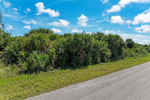 Land in Port Charlotte, Florida № 1318537 - photo 10