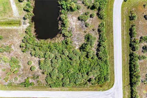 Terreno en venta en Port Charlotte, Florida № 1318537 - foto 9