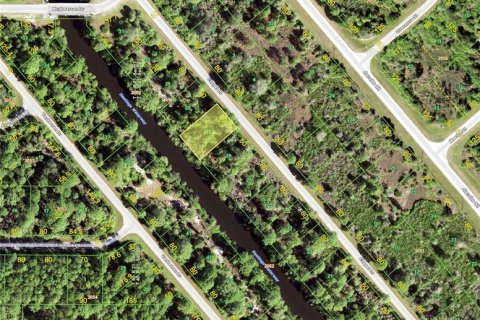 Купить земельный участок в Порт-Шарлотт, Флорида № 225023 - фото 2
