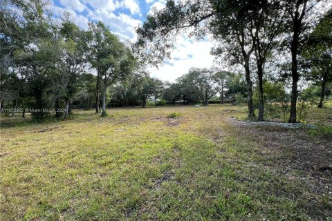 Commercial property in Clewiston, Florida № 1270030 - photo 6