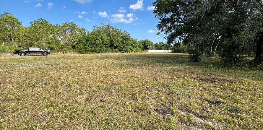 Commercial property in Clewiston, Florida № 1270030