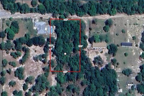 Land in Dunnellon, Florida № 1373907 - photo 2