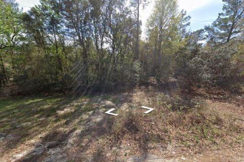 Land in Dunnellon, Florida № 1373907 - photo 1