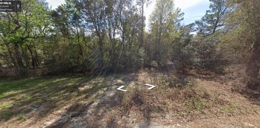 Land in Dunnellon, Florida № 1373907