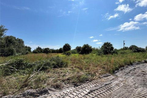 Terrain à vendre à Punta Gorda, Floride № 1402429 - photo 4