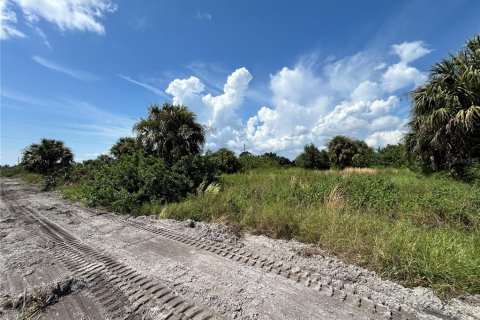 Terrain à vendre à Punta Gorda, Floride № 1402429 - photo 1