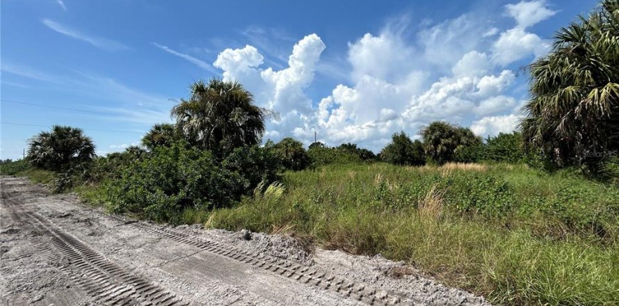 Terrain à Punta Gorda, Floride № 1402429