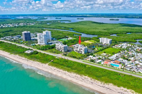 Copropriété à vendre à Hutchinson Island South, Floride: 2 chambres, 116.22 m2 № 970670 - photo 9