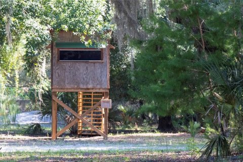 Villa ou maison à vendre à Crescent City, Floride: 5 chambres, 483.09 m2 № 1342160 - photo 21