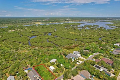 Land in Flagler Beach, Florida № 1277301 - photo 20