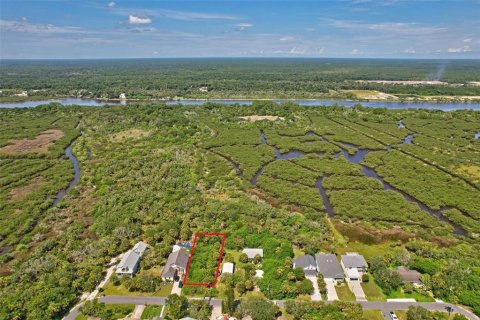 Terreno en venta en Flagler Beach, Florida № 1277301 - foto 3