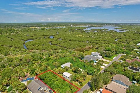 Land in Flagler Beach, Florida № 1277301 - photo 21