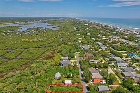 Land in Flagler Beach, Florida № 1277301 - photo 18