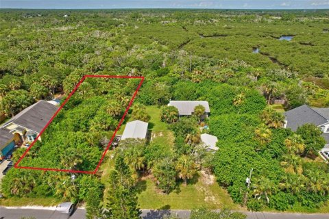 Terreno en venta en Flagler Beach, Florida № 1277301 - foto 4