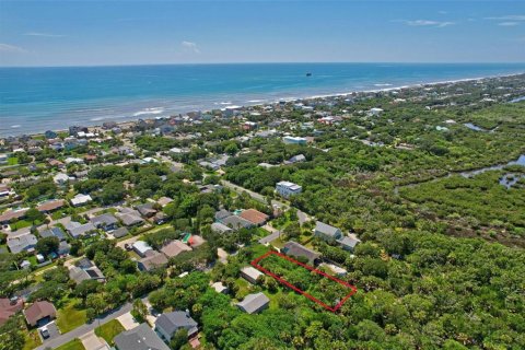 Land in Flagler Beach, Florida № 1277301 - photo 16