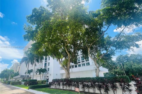 Copropriété à louer à Coral Gables, Floride: 41.81 m2 № 1356959 - photo 24