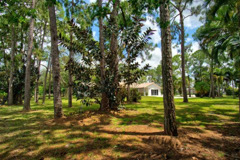 Villa ou maison à vendre à Loxahatchee Groves, Floride: 5 chambres, 303.6 m2 № 1168878 - photo 6