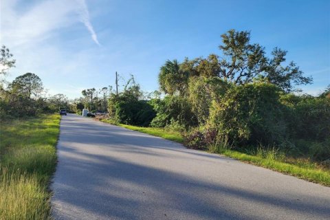 Купить земельный участок в Порт-Шарлотт, Флорида № 252115 - фото 8