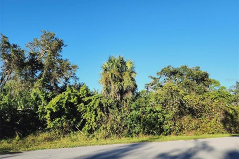 Купить земельный участок в Порт-Шарлотт, Флорида № 252115 - фото 9
