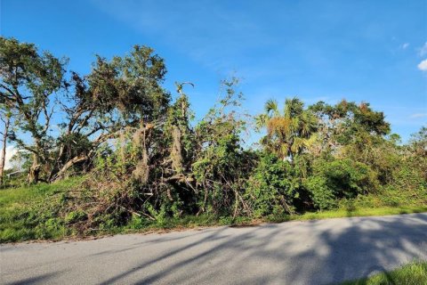 Land in Port Charlotte, Florida № 252115 - photo 6