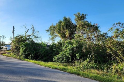 Купить земельный участок в Порт-Шарлотт, Флорида № 252115 - фото 7