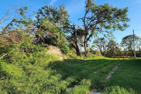 Land in Port Charlotte, Florida № 252115 - photo 5