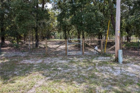 Land in Dunnellon, Florida № 1378343 - photo 5