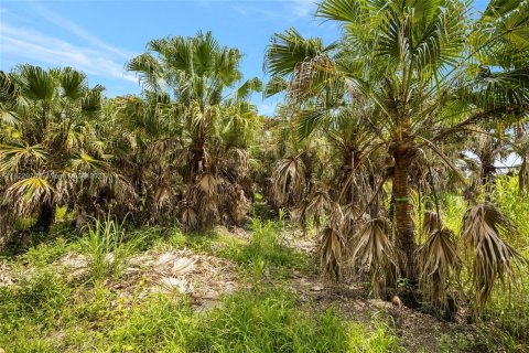 Terrain à vendre à Homestead, Floride № 618162 - photo 3