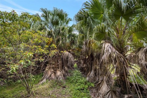 Land in Homestead, Florida № 618162 - photo 6