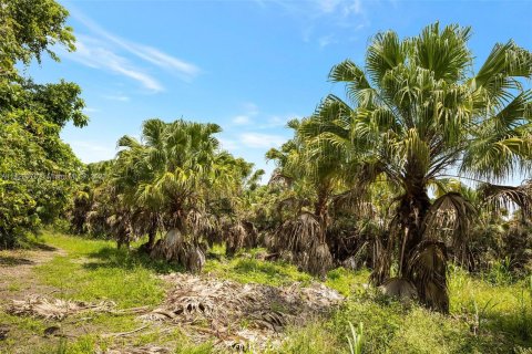 Land in Homestead, Florida № 618162 - photo 4