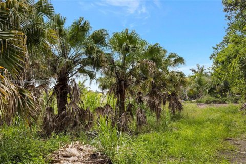 Купить земельный участок в Хомстед, Флорида № 618162 - фото 13