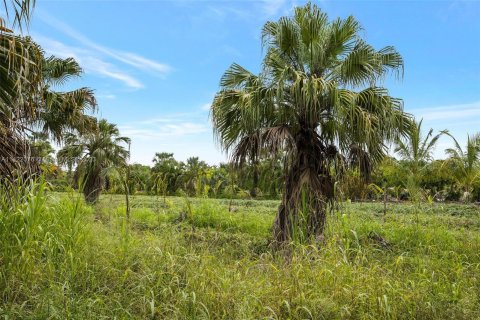 Купить земельный участок в Хомстед, Флорида № 618162 - фото 14