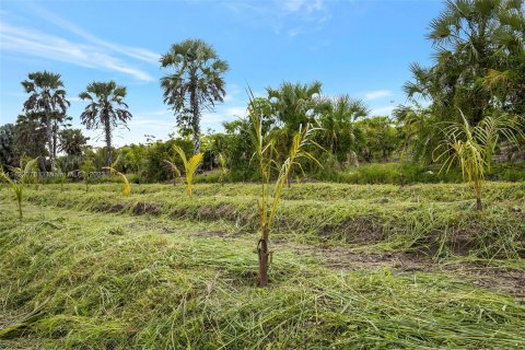 Купить земельный участок в Хомстед, Флорида № 618162 - фото 19