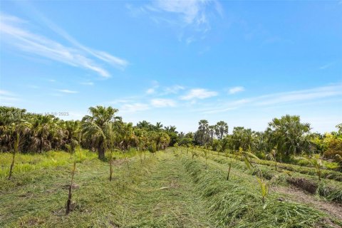 Terrain à vendre à Homestead, Floride № 618162 - photo 16