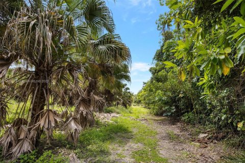 Купить земельный участок в Хомстед, Флорида № 618162 - фото 12