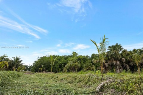 Купить земельный участок в Хомстед, Флорида № 618162 - фото 23