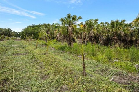 Купить земельный участок в Хомстед, Флорида № 618162 - фото 22