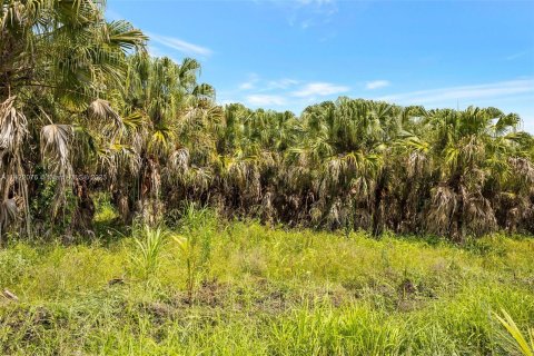 Купить земельный участок в Хомстед, Флорида № 618162 - фото 1