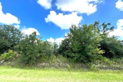 Land in Okeechobee, Florida № 1297592 - photo 2