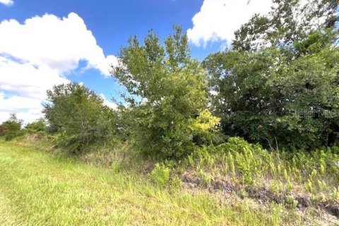 Land in Okeechobee, Florida № 1297592 - photo 3